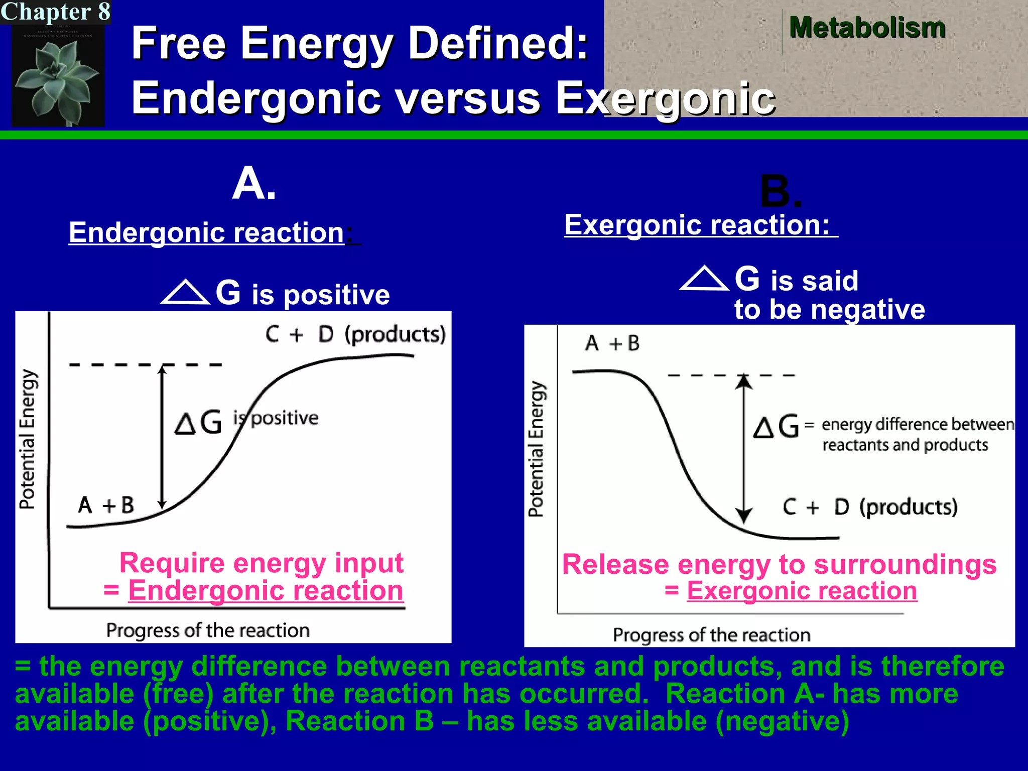 MetabolismMetabolism
Chapter 8
Free Energy Defined:Free Energy Defined:
Endergonic versus ExergonicEndergonic versus Exergonic
A. B.
Exergonic reaction:
G is said
to be negative
Endergonic reaction:
G is positive
= the energy difference between reactants and products, and is therefore
available (free) after the reaction has occurred. Reaction A- has more
available (positive), Reaction B – has less available (negative)
Require energy input
= Endergonic reaction
Release energy to surroundings
= Exergonic reaction
 