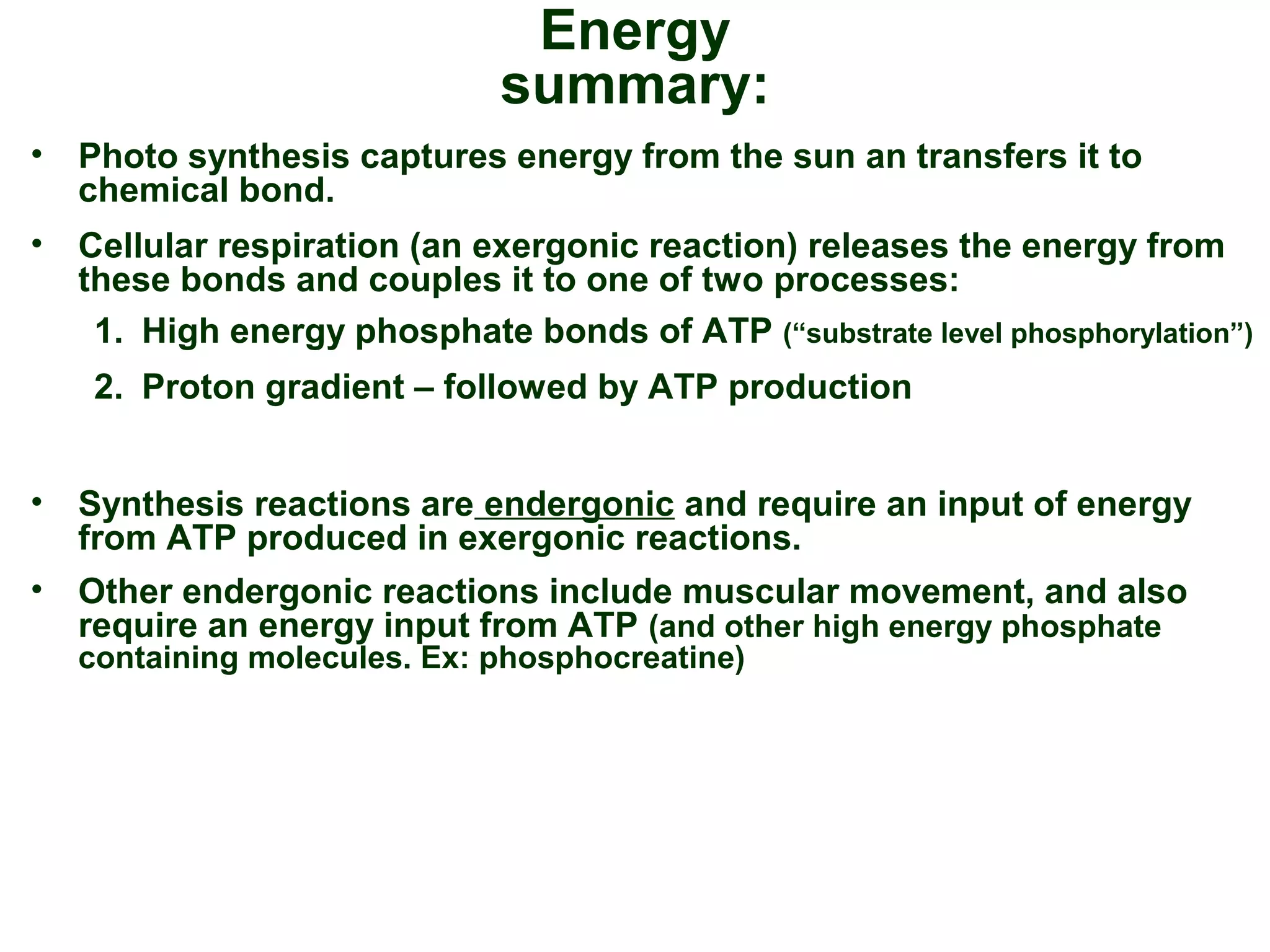 Energy
summary:
• Photo synthesis captures energy from the sun an transfers it to
chemical bond.
• Cellular respiration (an exergonic reaction) releases the energy from
these bonds and couples it to one of two processes:
1. High energy phosphate bonds of ATP (“substrate level phosphorylation”)
2. Proton gradient – followed by ATP production
• Synthesis reactions are endergonic and require an input of energy
from ATP produced in exergonic reactions.
• Other endergonic reactions include muscular movement, and also
require an energy input from ATP (and other high energy phosphate
containing molecules. Ex: phosphocreatine)
 