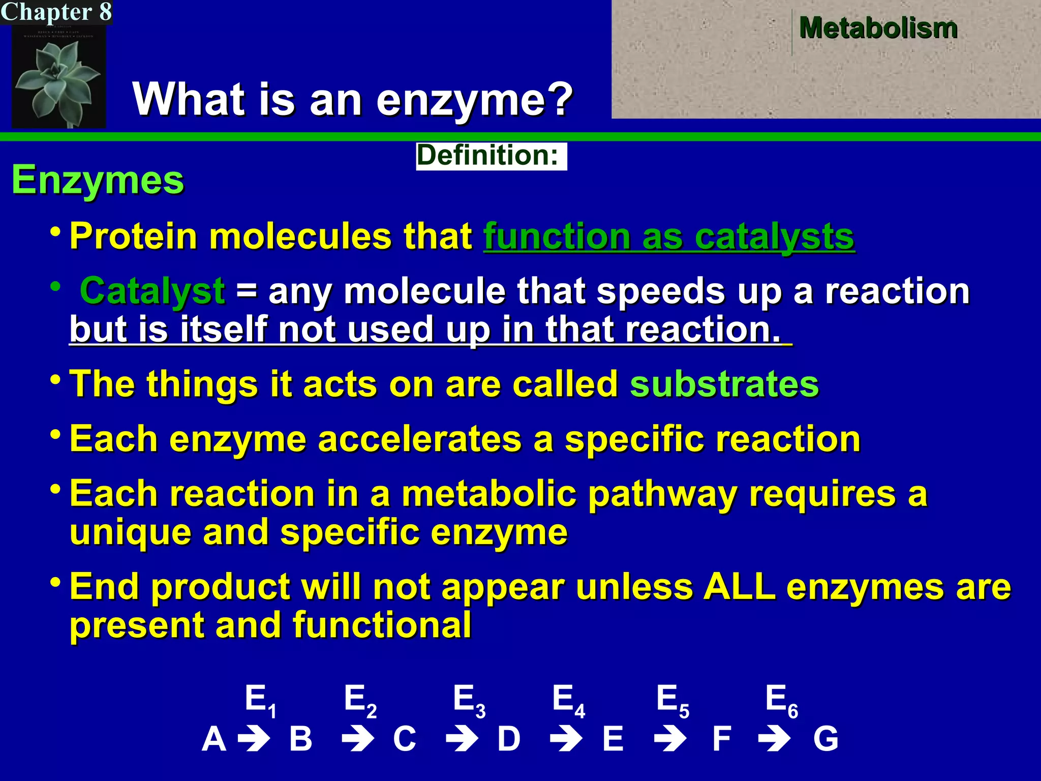 MetabolismMetabolism
Chapter 8
What is an enzyme?What is an enzyme?
EnzymesEnzymes
 Protein molecules thatProtein molecules that function as catalystsfunction as catalysts
 CatalystCatalyst = any molecule that speeds up a reaction= any molecule that speeds up a reaction
but is itself not used up in that reaction.but is itself not used up in that reaction.
 The things it acts on are calledThe things it acts on are called substratessubstrates
 Each enzyme accelerates a specific reactionEach enzyme accelerates a specific reaction
 Each reaction in a metabolic pathway requires aEach reaction in a metabolic pathway requires a
unique and specific enzymeunique and specific enzyme
 End product will not appear unless ALL enzymes areEnd product will not appear unless ALL enzymes are
present and functionalpresent and functional
E1 E2 E3 E4 E5 E6
A  B  C  D  E  F  G
Definition:
 