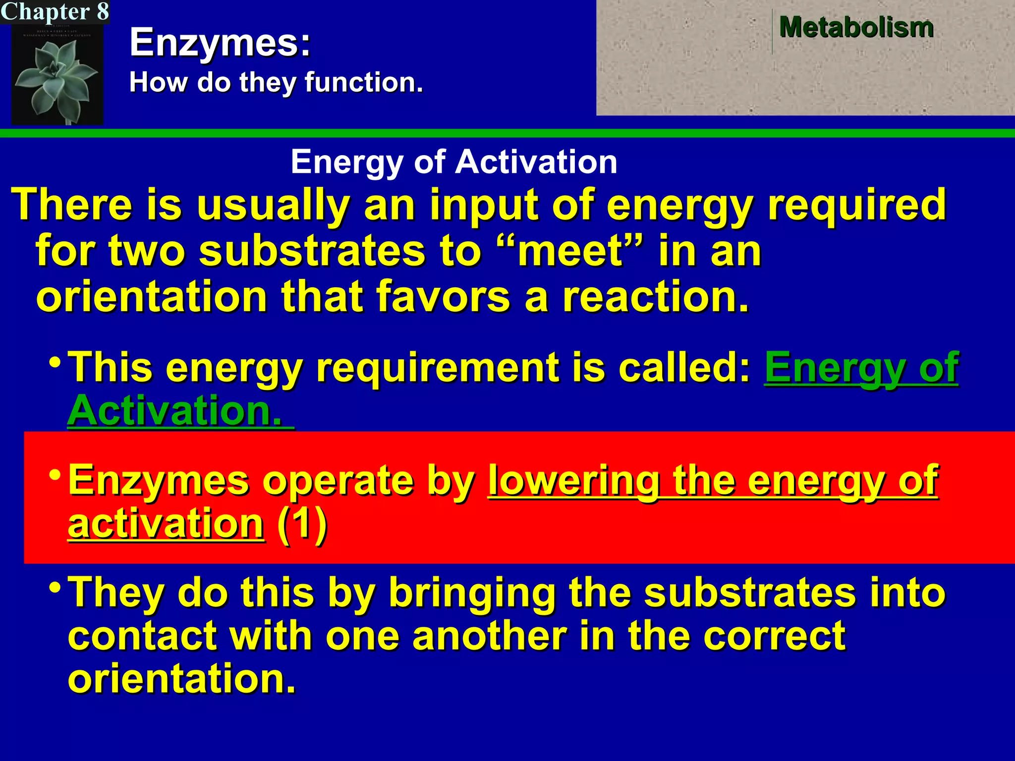 MetabolismMetabolism
Chapter 8
Enzymes:Enzymes:
How do they function.How do they function.
There is usually an input of energy requiredThere is usually an input of energy required
for two substrates to “meet” in anfor two substrates to “meet” in an
orientation that favors a reaction.orientation that favors a reaction.
This energy requirement is called:This energy requirement is called: Energy ofEnergy of
Activation.Activation.
Enzymes operate byEnzymes operate by lowering the energy oflowering the energy of
activationactivation (1)(1)
They do this by bringing the substrates intoThey do this by bringing the substrates into
contact with one another in the correctcontact with one another in the correct
orientation.orientation.
Energy of Activation
 