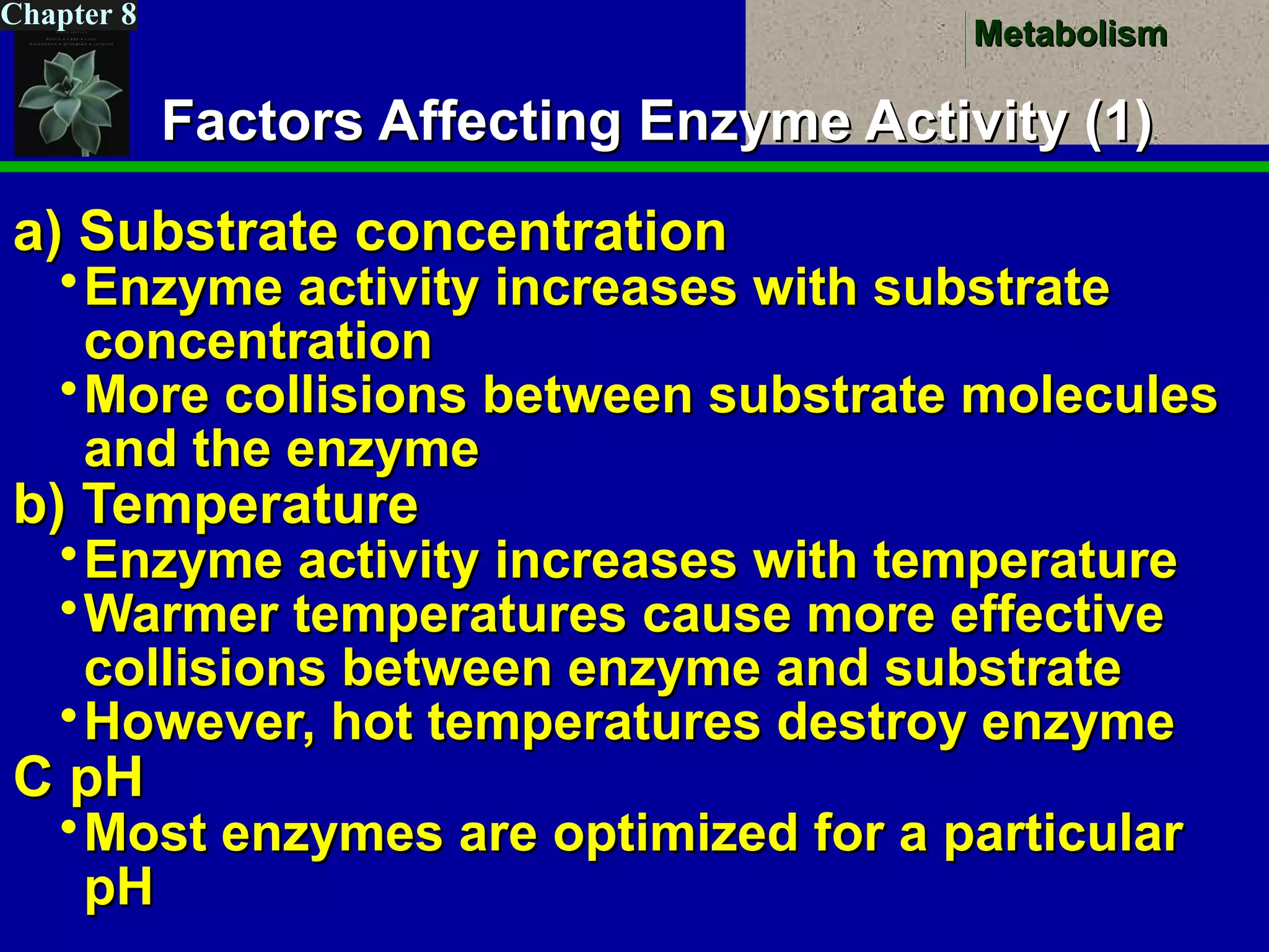 MetabolismMetabolism
Chapter 8
Factors Affecting Enzyme Activity (1)Factors Affecting Enzyme Activity (1)
a) Substrate concentrationa) Substrate concentration
Enzyme activity increases with substrateEnzyme activity increases with substrate
concentrationconcentration
More collisions between substrate moleculesMore collisions between substrate molecules
and the enzymeand the enzyme
b) Temperatureb) Temperature
Enzyme activity increases with temperatureEnzyme activity increases with temperature
Warmer temperatures cause more effectiveWarmer temperatures cause more effective
collisions between enzyme and substratecollisions between enzyme and substrate
However, hot temperatures destroy enzymeHowever, hot temperatures destroy enzyme
C pHC pH
Most enzymes are optimized for a particularMost enzymes are optimized for a particular
pHpH
 