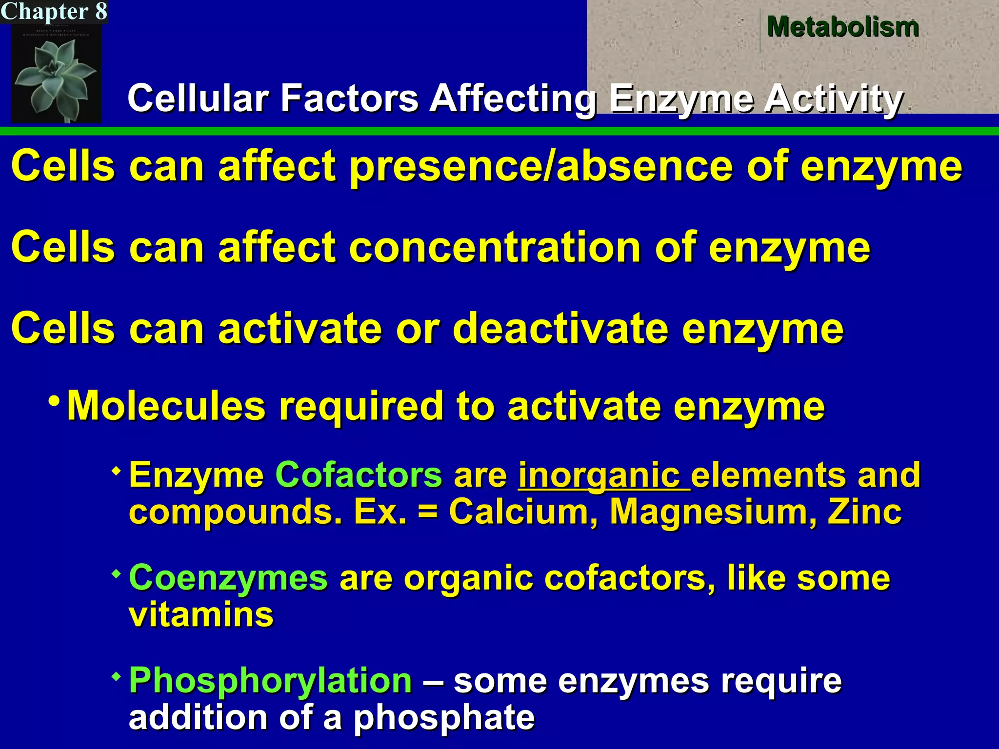 MetabolismMetabolism
Chapter 8
Cellular Factors Affecting Enzyme ActivityCellular Factors Affecting Enzyme Activity
Cells can affect presence/absence of enzymeCells can affect presence/absence of enzyme
Cells can affect concentration of enzymeCells can affect concentration of enzyme
Cells can activate or deactivate enzymeCells can activate or deactivate enzyme
Molecules required to activate enzymeMolecules required to activate enzyme
 EnzymeEnzyme CofactorsCofactors areare inorganicinorganic elements andelements and
compounds. Ex. = Calcium, Magnesium, Zinccompounds. Ex. = Calcium, Magnesium, Zinc
 CoenzymesCoenzymes are organic cofactors, like someare organic cofactors, like some
vitaminsvitamins
 PhosphorylationPhosphorylation – some enzymes require– some enzymes require
addition of a phosphateaddition of a phosphate
 