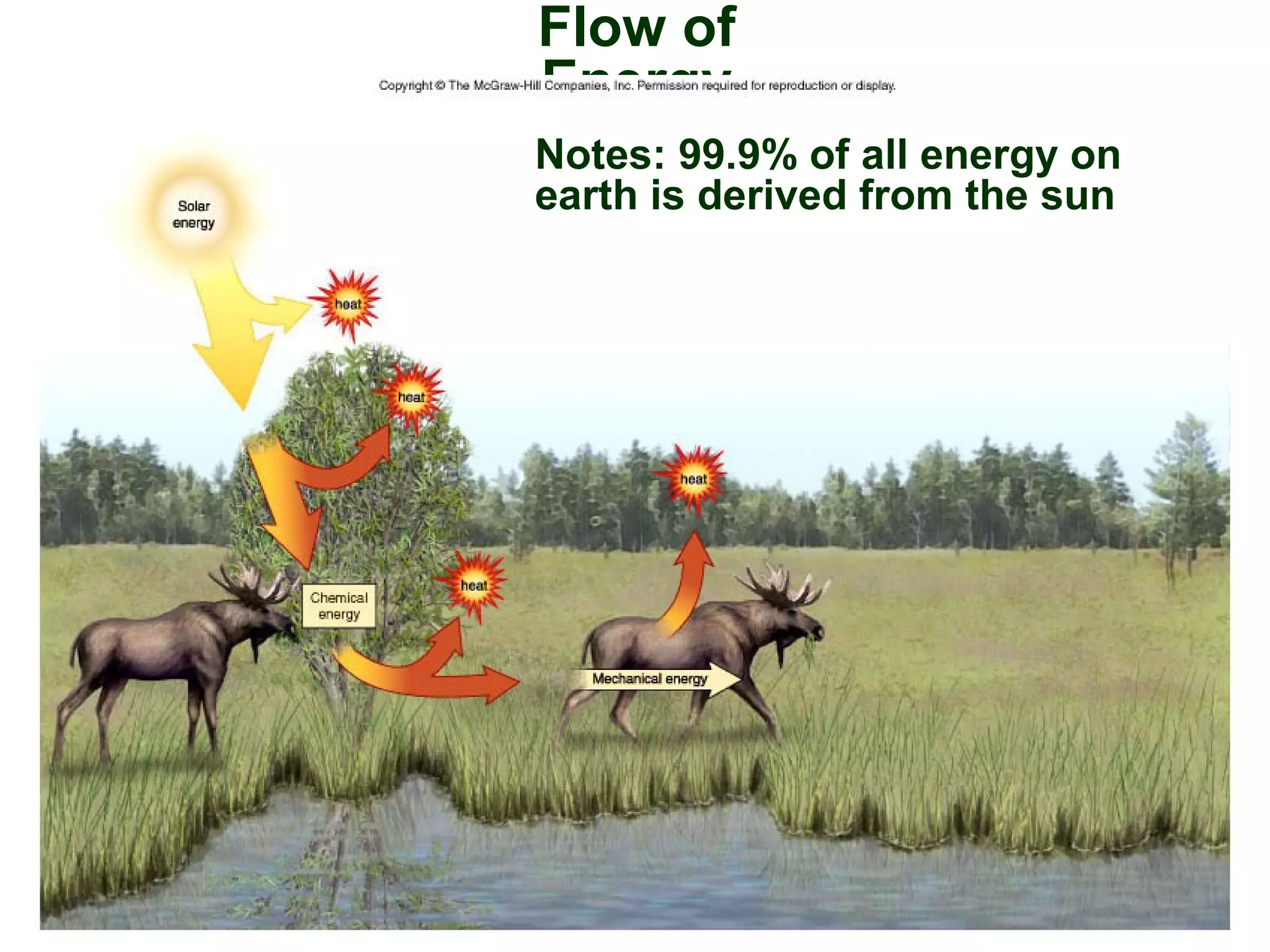 Flow of
Energy
Notes: 99.9% of all energy on
earth is derived from the sun
 