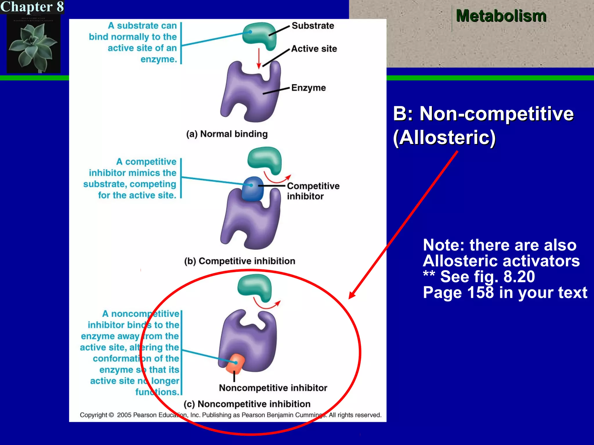 MetabolismMetabolism
Chapter 8
B: Non-competitiveB: Non-competitive
(Allosteric)(Allosteric)
Note: there are also
Allosteric activators
** See fig. 8.20
Page 158 in your text
 