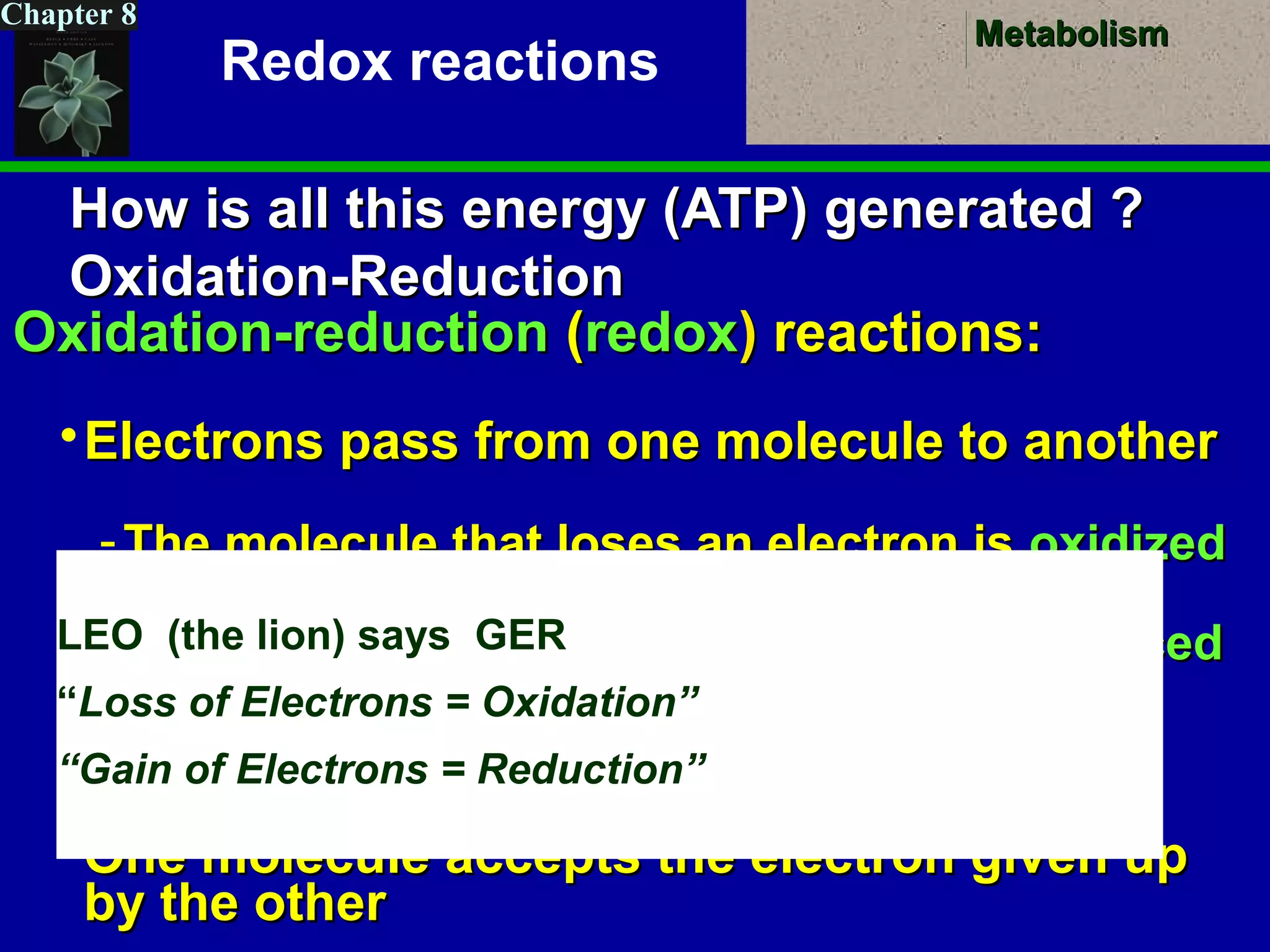 MetabolismMetabolism
Chapter 8
How is all this energy (ATP) generated ?How is all this energy (ATP) generated ?
Oxidation-ReductionOxidation-Reduction
Oxidation-reductionOxidation-reduction ((redoxredox)) reactions:reactions:
Electrons pass from one molecule to anotherElectrons pass from one molecule to another
- The molecule that loses an electron isThe molecule that loses an electron is oxidizedoxidized
- The molecule that gains an electron isThe molecule that gains an electron is reducedreduced
Both take place at same timeBoth take place at same time
One molecule accepts the electron given upOne molecule accepts the electron given up
by the otherby the other
LEO (the lion) says GER
“Loss of Electrons = Oxidation”
“Gain of Electrons = Reduction”
Redox reactions
 