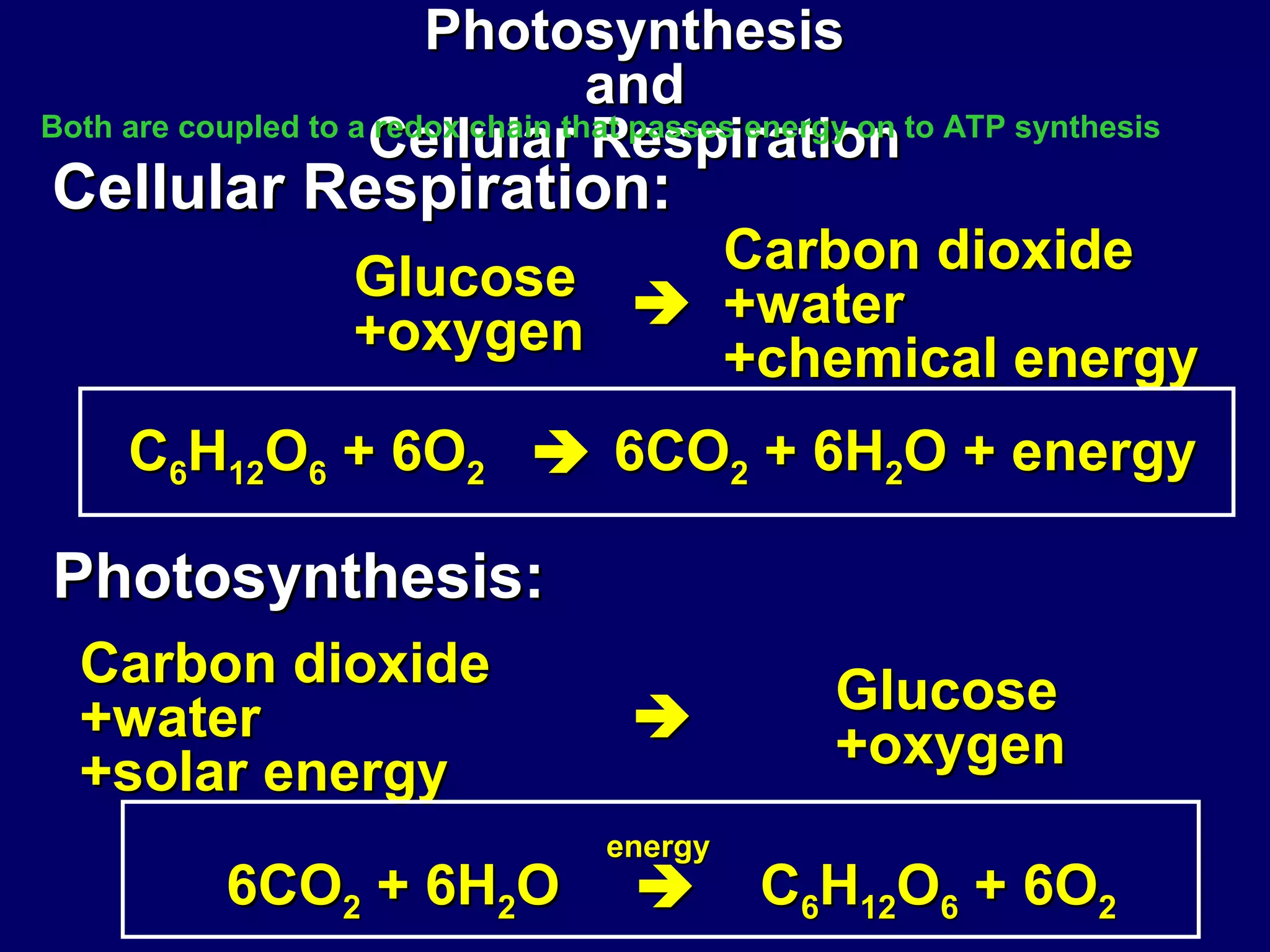 PhotosynthesisPhotosynthesis
andand
Cellular RespirationCellular Respiration
Carbon dioxideCarbon dioxide
+water+water
+solar energy+solar energy
GlucoseGlucose
+oxygen+oxygen
6CO6CO22 + 6H+ 6H22OO
energyenergy
 CC66HH1212OO66 + 6O+ 6O22
Carbon dioxideCarbon dioxide
+water+water
+chemical energy+chemical energy
GlucoseGlucose
+oxygen+oxygen 
6CO6CO22 + 6H+ 6H22O + energyO + energyCC66HH1212OO66 + 6O+ 6O22
Cellular Respiration:Cellular Respiration:
Photosynthesis:Photosynthesis:
Both are coupled to a redox chain that passes energy on to ATP synthesis
 