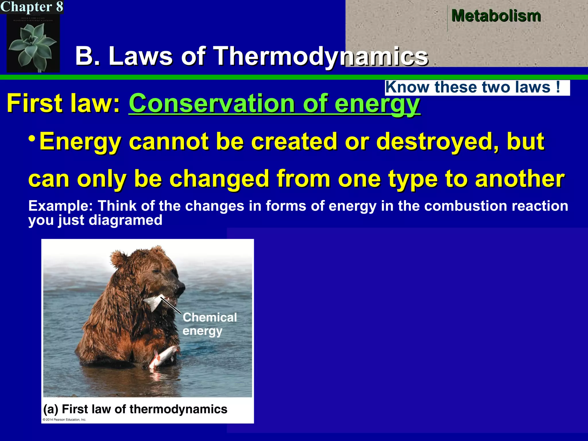 MetabolismMetabolism
Chapter 8
B. Laws of ThermodynamicsB. Laws of Thermodynamics
First law:First law: Conservation of energyConservation of energy
Energy cannot be created or destroyed, butEnergy cannot be created or destroyed, but
can only be changed from one type to anothercan only be changed from one type to another
Example: Think of the changes in forms of energy in the combustion reaction
you just diagramed
Know these two laws !
 