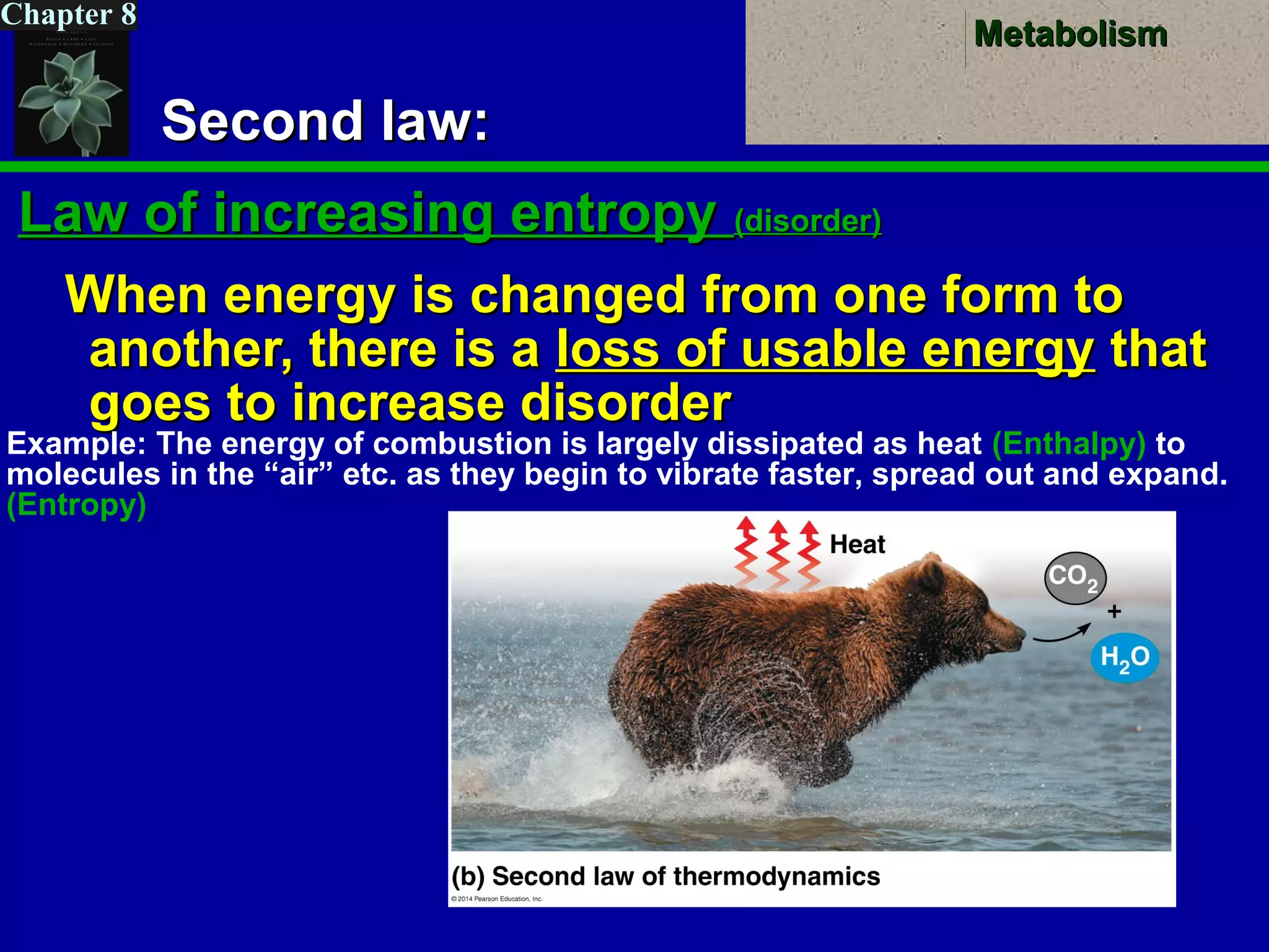 MetabolismMetabolism
Chapter 8
Second law:Second law:
Law of increasing entropyLaw of increasing entropy (disorder)(disorder)
When energy is changed from one form toWhen energy is changed from one form to
another, there is aanother, there is a loss of usable energyloss of usable energy thatthat
goes to increase disordergoes to increase disorder
Example: The energy of combustion is largely dissipated as heat (Enthalpy) to
molecules in the “air” etc. as they begin to vibrate faster, spread out and expand.
(Entropy)
 