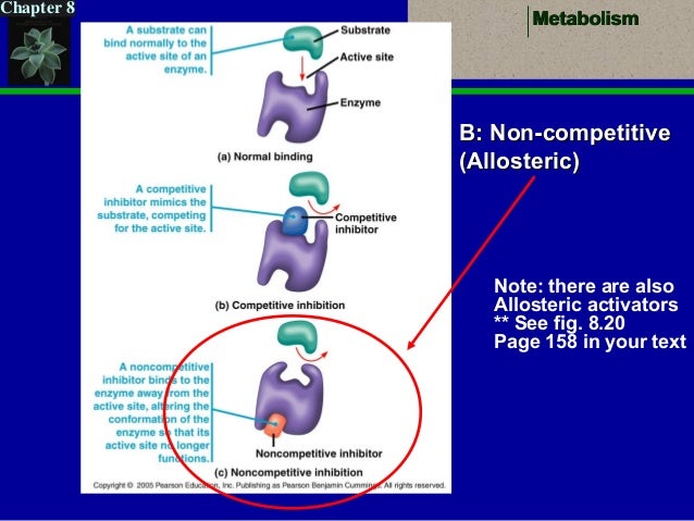 metabolism