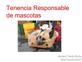 Tenencia Responsable
de mascotas




                Bárbara Toledo Rocha
                  Keila Concha Durán
 