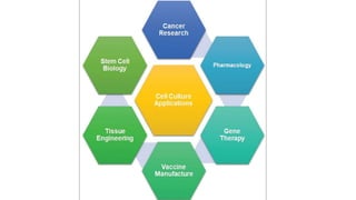 Animal Cell Culture and its application | PPTX