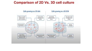 Animal Cell Culture and its application | PPTX