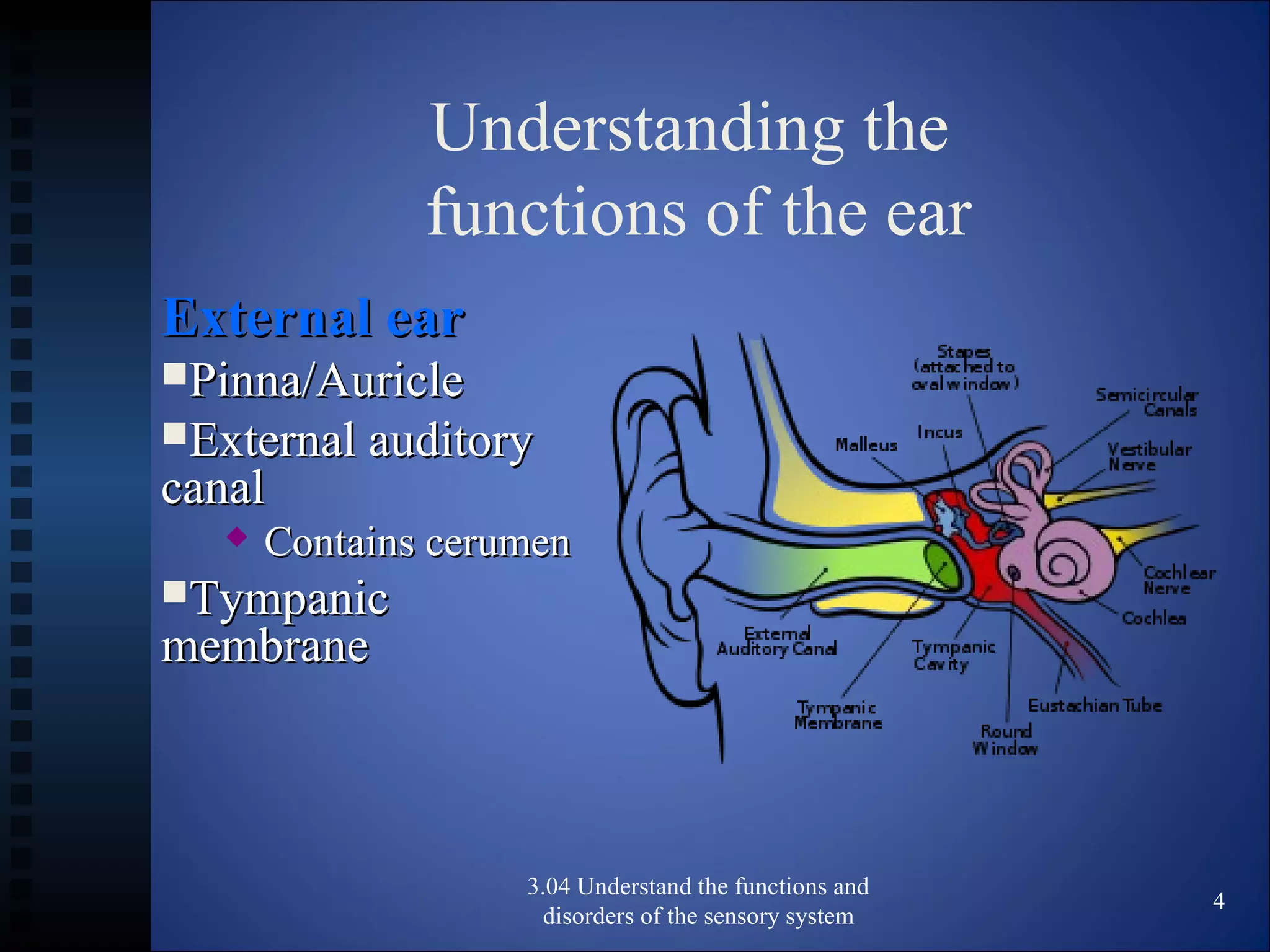 Understanding the
functions of the ear
External earExternal ear
Pinna/AuriclePinna/Auricle
External auditoryExternal auditory
canalcanal
 Contains cerumenContains cerumen
TympanicTympanic
membranemembrane
3.04 Understand the functions and
disorders of the sensory system
4
 