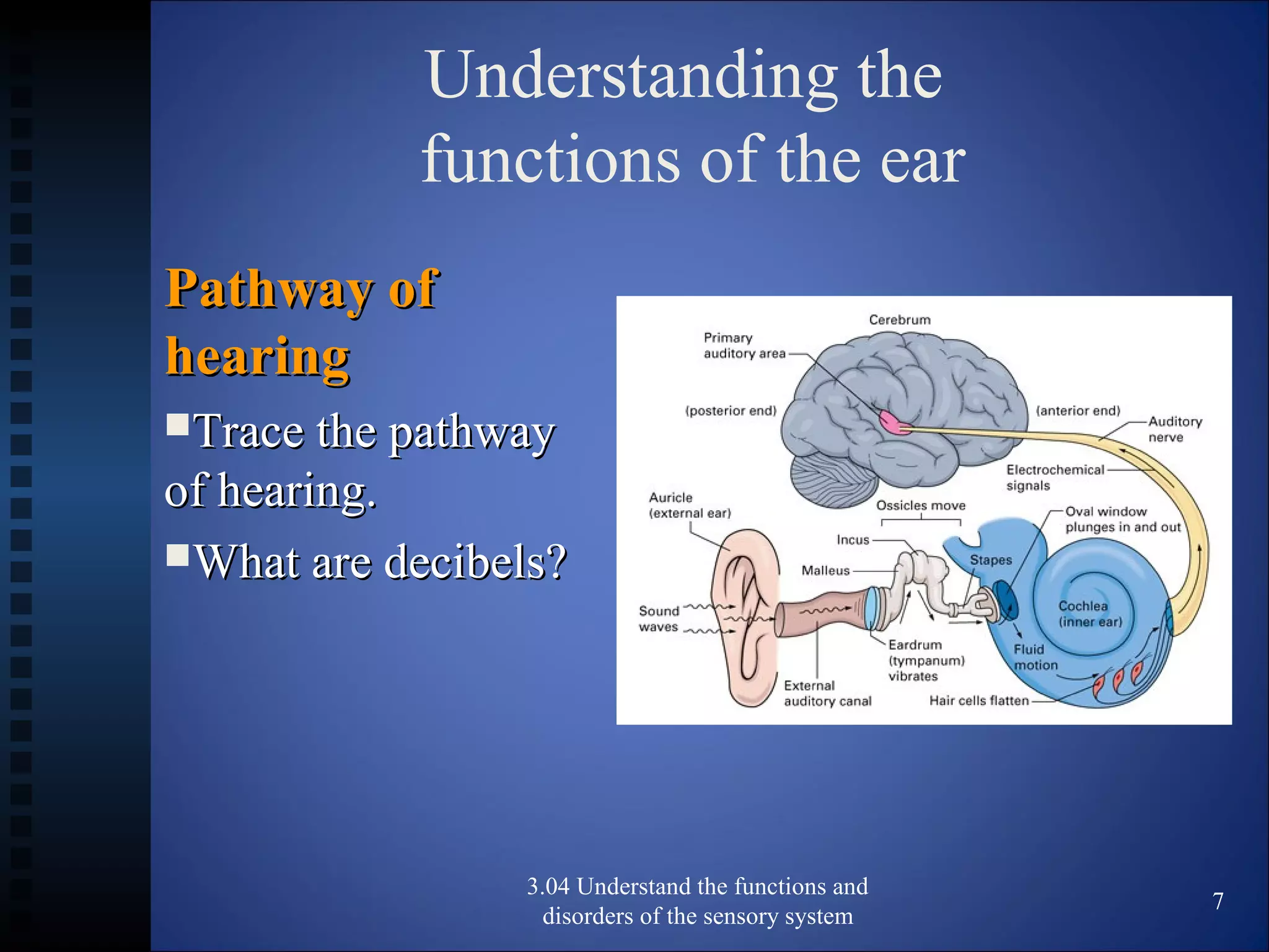 Understanding the
functions of the ear
Pathway ofPathway of
hearinghearing
Trace the pathwayTrace the pathway
of hearing.of hearing.
What are decibels?What are decibels?
3.04 Understand the functions and
disorders of the sensory system
7
 