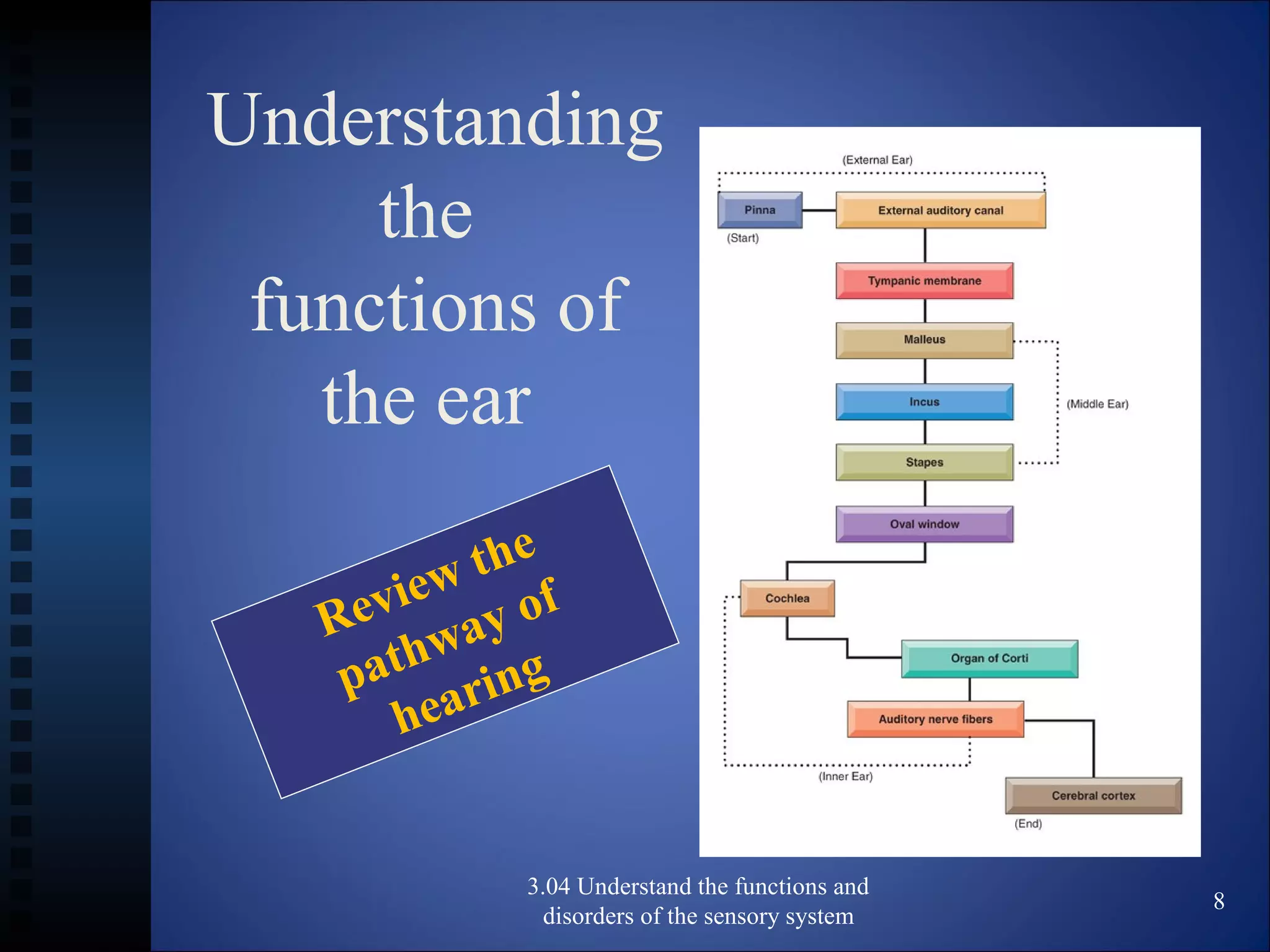 Understanding
the
functions of
the ear
3.04 Understand the functions and
disorders of the sensory system
8
Review the
pathway of
hearing
 