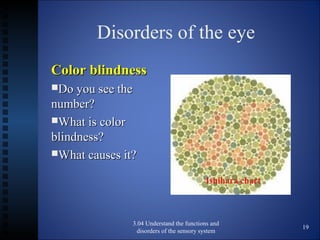 Functions and disorders of the eye | PPT