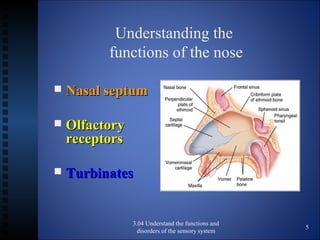 Functions and disorders of the nose | PPT
