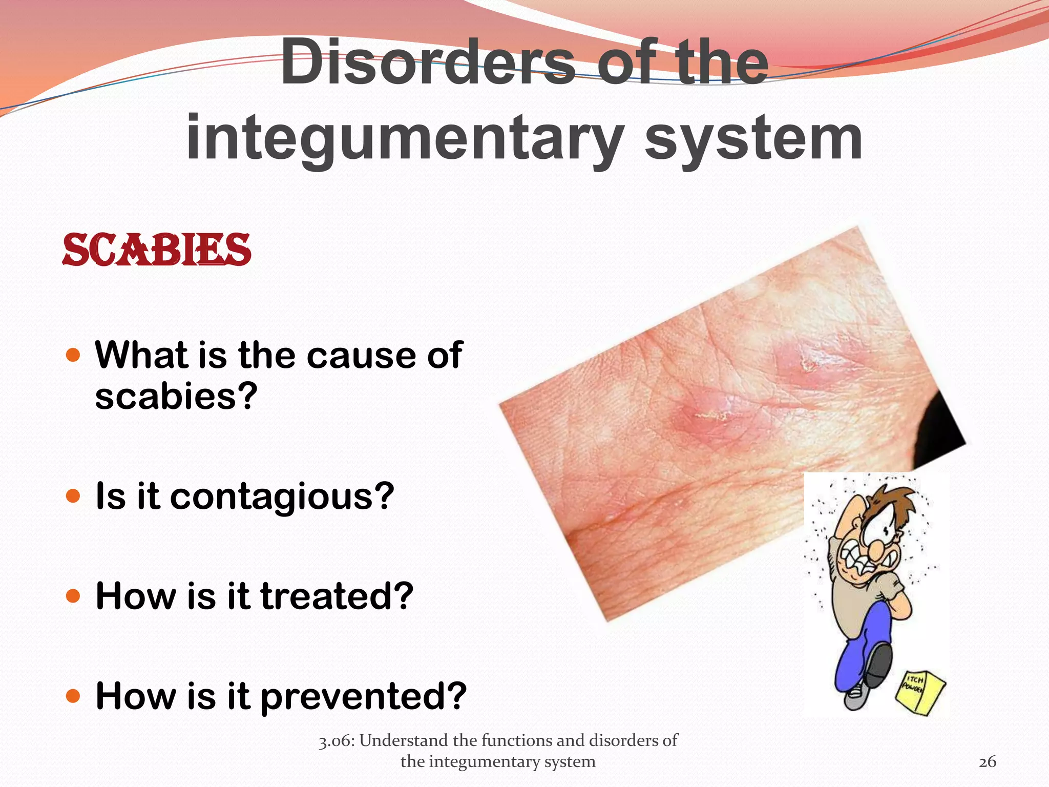 Disorders of the
integumentary system
Scabies
 What is the cause of
scabies?
 Is it contagious?
 How is it treated?
 How is it prevented?
3.06: Understand the functions and disorders of
the integumentary system 26
 