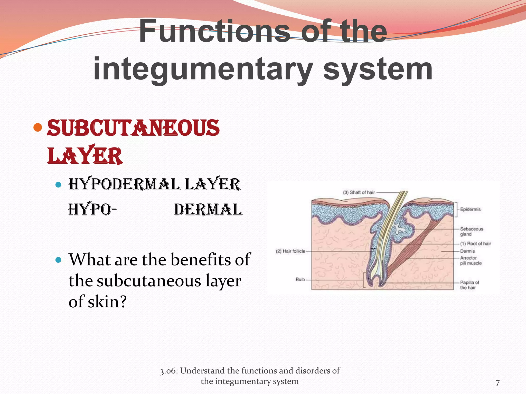 Functions of the
integumentary system
 Subcutaneous
layer
 Hypodermal layer
Hypo- dermal
 What are the benefits of
the subcutaneous layer
of skin?
3.06: Understand the functions and disorders of
the integumentary system 7
 