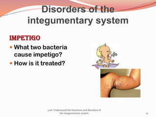 Intego Infection Functions and disorders of the Integumentary System | PPTX