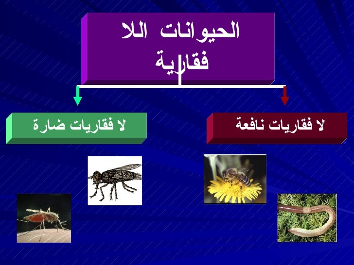 الحيوانات الفقارية ppt