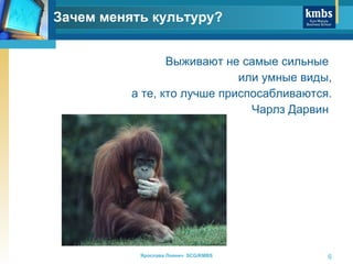 Выживают не самые сильные  или умные виды, а те, кто лучше приспосабливаются. Чарлз Дарвин  Зачем менять культуру? 