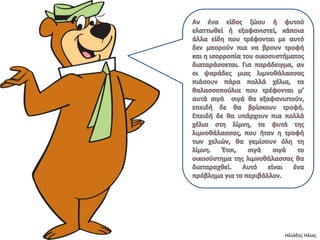 Ηλιάδης Ηλίας
 