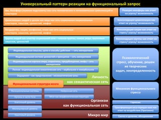 Универсальный паттерн реакции на функциональный запрос
Гея, Ноосфера (нужное подставить) как сеть человеческих и нечеловеческих цивилизаций и         Реакция ноосферы как ответ
кластеров                                                                                        на угрозу/ возможность

Цивилизация людей в целом как вида как сеть социальных национальных                        Консолидация цивилизации как
кластеров, смыслов, ценностей, мифов                                                        ответ на угрозу/ возможность

Государство, нация, конфессия, этнос как сеть социальных                                  Консолидация нации как ответ на
кластеров, смыслов, ценностей, мифов                                                        стресс/ угрозу/ возможность

Группа людей как кластер социальной сети – членов группы, семьи, рода, групповых          Консолидация группы как ответ на
смыслов, ценностей                                                                          стресс/ угрозу/ возможность


      Индивидуальные смыслы, цели и способы действия - – сеть императивов

        Индивидуальная система ценностей и принципов – сеть императивов
                                                                                             Психологический
      Индивидуальная картина мира, стереотипы, предубеждения, мифы – сеть                 стресс, обучение, решен
                                 императивов
                                                                                               ие творческих
      Полная индивидуальная семантическая сеть – вербальное и невербальное
                                                                                         задач, неопределенность
         Ощущения – как представления - несемантические узлы
                                                                Личность
      Функциональная структура мозга
                                                   как семантическая сеть
                                                                                          Механизм функционального
    Функциональные системы                    Нейронная сеть
                                                                                                   стресса
       Органы и части тела          Мозг как морфологическая структура

       Клеточный уровень
                                                              Организм                                Гормезис
                                                как функциональная сеть                  Трансформация хоса-порядок-хаос как
     Молекулярный уровень
                                                                                           ответ на воздействие (Пригожин)
       Квантовый уровень                                             Микро мир              Синтез и деление, объединения
 