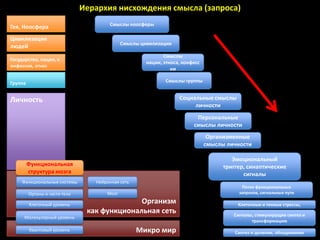 Иерархия нисхождения смысла (запроса)
                                       Смыслы ноосферы
Гея, Ноосфера
Цивилизация
                                             Смыслы цивилизации
людей
                                                             Смыслы
Государство, нация, к
                                                      нации, этноса, конфесс
онфессия, этнос
                                                                ии

Группа                                                        Смыслы группы


Личность                                                           Социальные смыслы
                                                                        личности
                                                                          Персональные
                                                                         смыслы личности
                                                                                Организменные
                                                                               смыслы личности

                                                                                        Эмоциональный
         Функциональная                                                              триггер, синаптические
         структура мозга                                                                    сигналы
     Функциональные системы       Нейронная сеть
                                                                                           Поток функциональных
         Органы и части тела          Мозг                                                запросов, сигнальные пути

         Клеточный уровень
                                              Организм                                    Клеточные и генные стрессы,
                                как функциональная сеть                                 Сигналы, стимулирущие синтез и
      Молекулярный уровень
                                                                                               трансформацию
         Квантовый уровень                         Микро мир                             Синтез и деление, объединения
 