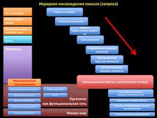 Иерархия нисхождения смысла (запроса)
                                       Смыслы ноосферы
Гея, Ноосфера
Цивилизация
                                             Смыслы цивилизации
людей
                                                             Смыслы
Государство, нация, к
                                                      нации, этноса, конфесс
онфессия, этнос
                                                                ии

Группа                                                        Смыслы группы


Личность                                                           Социальные смыслы
                                                                        личности
                                                                          Персональные
                                                                         смыслы личности
                                                                                Организменные
                                                                               смыслы личности


         Функциональная                                       Эмоциональный триггер, синаптические сигналы
         структура мозга
     Функциональные системы       Нейронная сеть
                                                                                           Поток функциональных
         Органы и части тела          Мозг                                                запросов, сигнальные пути

         Клеточный уровень
                                              Организм                                   Клеточные и генные стрессы,
                                как функциональная сеть                                 Сигналы, стимулирущие синтез и
      Молекулярный уровень
                                                                                               трансформацию
         Квантовый уровень                         Микро мир                            Синтез и деление, объединения
 