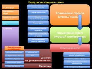 Иерархия нисхождения стресса
                                      Смыслы ноосферы
Гея, Ноосфера
Цивилизация
людей                                Смыслы цивилизации
                                                               Социальные стрессы
Государство, нация, к                      Смыслы               (угрозы/ смыслы)
онфессия, этнос                    нации, этноса, конфессии

                                        Смыслы группы
Группа


Личность                            Социальные смыслы
                                         личности
                                   Персональные смыслы          Психический стресс
                                         личности
                                                              (угрозы/ возможности)
                                       Организменные
                                      смыслы личности


         Функциональная                                           Эмоциональный триггер
         структура мозга
     Функциональные системы      Нейронная сеть
                                                                            Поток функциональных
         Органы и части тела         Мозг                                  запросов, сигнальные пути

         Клеточный уровень
                                             Организм                     Клеточные и генные стрессы,
                               как функциональная сеть                  Сигналы, стимулирущие синтез и
      Молекулярный уровень
                                                                               трансформацию
         Квантовый уровень                        Микро мир              Синтез и деление, объединения
 