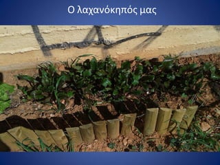 Ο λαχανόκθπόσ μασ
 