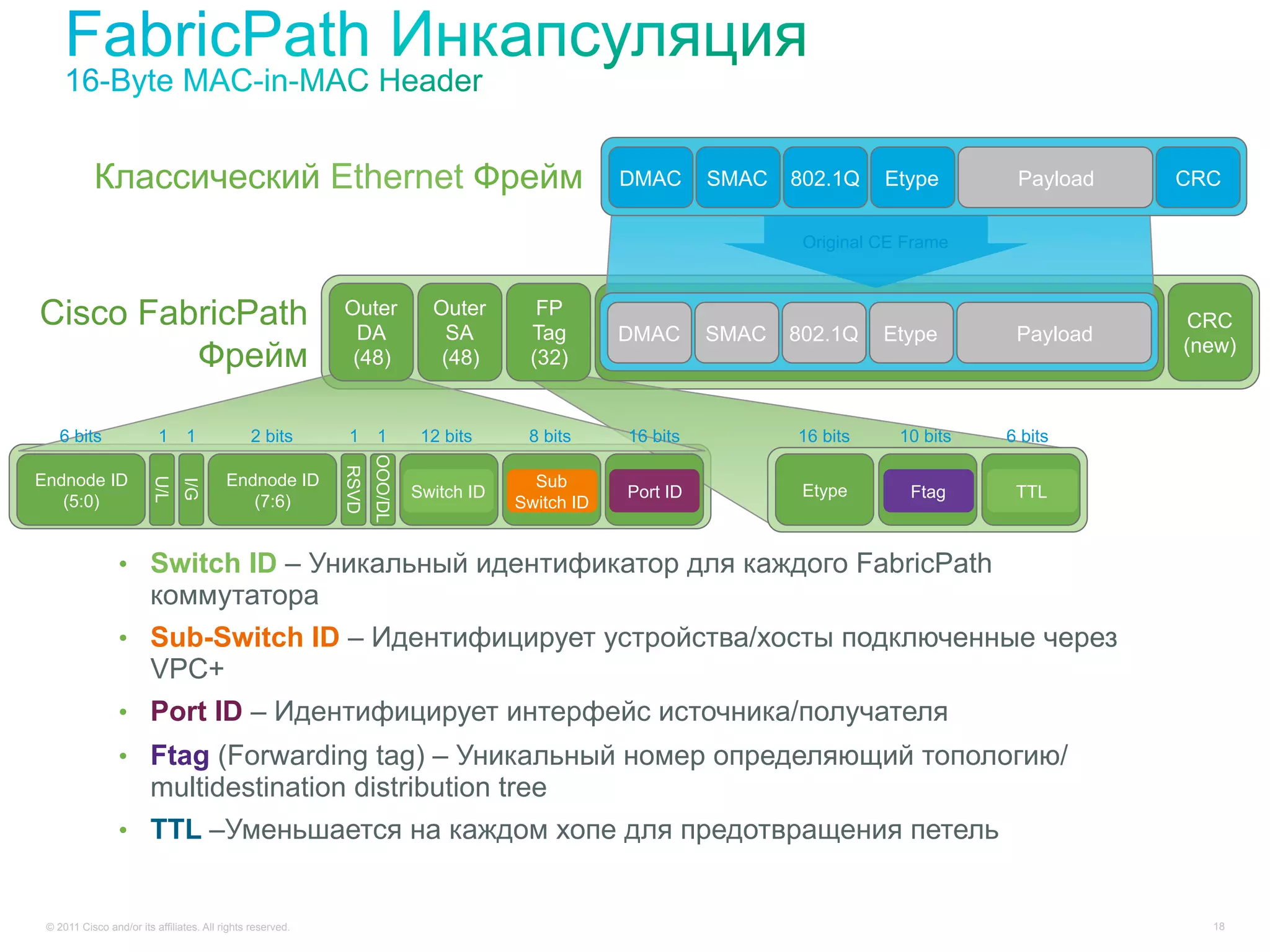 Классический Ethernet Фрейм                                                              DMAC      SMAC   802.1Q    Etype        Payload   CRC

                                                                                                                      Original CE Frame



Cisco FabricPath                                            Outer
                                                              DA
                                                                              Outer
                                                                                SA
                                                                                          FP
                                                                                         Tag        DMAC      SMAC   802.1Q    Etype        Payload
                                                                                                                                                       CRC
                                                                                                                                                      (new)
         Фрейм                                               (48)              (48)      (32)


    6 bits                1      1             2 bits        1      1        12 bits     8 bits     16 bits          16 bits     10 bits   6 bits
                                                                   OOO/DL
                                                            RSVD




Endnode ID                                Endnode ID                                      Sub
                         U/L
                                I/G




                                                                            Switch ID               Port ID           Etype       Ftag      TTL
   (5:0)                                     (7:6)                                      Switch ID


                 •  Switch ID – Уникальный идентификатор для каждого FabricPath
                    коммутатора
                 •  Sub-Switch ID – Идентифицирует устройства/хосты подключенные через
                    VPC+
                 •  Port ID – Идентифицирует интерфейс источника/получателя
                 •  Ftag (Forwarding tag) – Уникальный номер определяющий топологию/
                    multidestination distribution tree
                 •  TTL –Уменьшается на каждом хопе для предотвращения петель


 © 2011 Cisco and/or its affiliates. All rights reserved.                                                                                               18
 