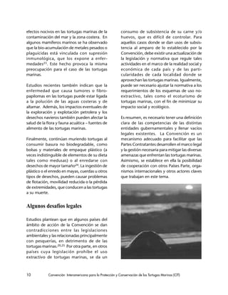 10 Convención Interamericana para la Protección y Conservación de las Tortugas Marinas (CIT)
efectos nocivos en las tortugas marinas de la
contaminación del mar y la zona costera. En
algunos mamíferos marinos se ha observado
que la bio-acumulación de metales pesados o
plaguicidas está vinculada con supresión
inmunológica, que los expone a enfer-
medades23. Este hecho provoca la misma
preocupación para el caso de las tortugas
marinas.
Estudios recientes también indican que la
enfermedad que causa tumores o fibro-
papilomas en las tortugas puede estar ligada
a la polución de las aguas costeras y de
altamar. Además, los impactos eventuales de
la exploración y explotación petrolera y los
desechos navieros también pueden afectar la
salud de la flora y fauna acuática – fuentes de
alimento de las tortugas marinas.
Finalmente, continúan muriendo tortugas al
consumir basura no biodegradable, como
bolsas y materiales de empaque plástico (a
veces indistinguible de elementos de su dieta
tales como medusas) o al enredarse con
desechos de mayor tamaño24. La ingestión de
plástico o el enredo en mayas, cuerdas u otros
tipos de desechos, pueden causar problemas
de flotación, movilidad reducida o la pérdida
de extremidades, que conducen a las tortugas
a su muerte.
Algunos desafíos legales
Estudios plantean que en algunos países del
ámbito de acción de la Convención se dan
contradicciones entre las legislaciones
ambientales y las relacionadas principalmente
con pesquerías, en detrimento de de las
tortugas marinas.20,25 Por otra parte, en otros
países cuya legislación prohíbe el uso
extractivo de tortugas marinas, se da un
consumo de subsistencia de su carne y/o
huevos, que es difícil de controlar. Para
aquellos casos donde se dan usos de subsis-
tencia al amparo de lo establecido por la
Convención, debe existir una actualización de
la legislación y normativa que regule tales
actividades en el marco de la realidad social y
económica de cada país y de las parti-
cularidades de cada localidad donde se
aprovechan las tortugas marinas. Igualmente,
puede ser necesario ajustar la normativa a los
requerimientos de los esquemas de uso no-
extractivo, tales como el ecoturismo de
tortugas marinas, con el fin de minimizar su
impacto social y ecológico.
Es resumen, es necesario tener una definición
clara de las competencias de las distintas
entidades gubernamentales y llenar vacíos
legales existentes. La Convención es un
mecanismo adecuado para facilitar que las
Partes Contratantes desarrollen el marco legal
y la gestión necesaria para mitigar las diversas
amenazas que enfrentan las tortugas marinas.
Asimismo, se establece en ella la posibilidad
de cooperación con otros Países Parte, orga-
nismos internacionales y otros actores claves
que trabajan en este tema.
 