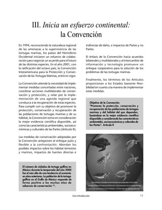 Una Introducción 11
III. Inicia un esfuerzo continental:
la Convención
En 1994, reconociendo la naturaleza regional
de las amenazas a la supervivencia de las
tortugas marinas, los países del Hemisferio
Occidental iniciaron un esfuerzo de colabo-
ración para negociar un acuerdo para el futuro
de las distintas especies. En el año 2001, con
la ratificación del octavo país, la Convención
Interamericana para la Protección y Conser-
vación de las Tortugas Marinas, entró en vigor.
La Convención atiende la necesidad de imple-
mentar medidas concertadas entre naciones,
coordinar acciones multilaterales de conser-
vación y protección, y velar por la imple-
mentación de una agenda regional que
conduzca a la recuperación de estas especies.
Para cumplir con su objetivo de promover la
protección, conservación y recuperación de
las poblaciones de tortugas marinas y de su
hábitat, la Convención toma en consideración
la mejor evidencia científica disponible, así
como las características ambientales, socioeco-
nómicas y culturales de las Partes (Artículo II).
Las medidas de conservación adoptadas por
la Convención anteponen el enfoque justo y
flexible a la confrontación. Abordan los
posibles impactos sobre los hábitat terrestres
y marinos, impactos de fuentes directas e
indirectas de daño, e impactos de Partes y no
Partes.
El énfasis de la Convención hacia acuerdos
bilaterales y multilaterales y el intercambio de
información y tecnología promueve un
enfoque cooperativo para la solución de los
problemas de las tortugas marinas.
Finalmente, los términos de los Artículos
proporcionan a los Estados bastante flexi-
bilidad en cuanto a la manera de implementar
estas medidas.
Objetivo de la Convención
“Promover la protección, conservación y
recuperación de las poblaciones de tortugas
marinas y del hábitat del que dependen,
basándose en la mejor evidencia científica
disponible y considerando las características
ambientales, socioeconómicas y culturales de
las Partes”. Artículo II
El número de nidadas de tortuga golfina en
México durante la temporada del año 2000
fue el más alto de una tendencia al aumento
en años anteriores. La población de la tortuga
golfina en el Golfo de México responde de
forma positiva a los muchos años de
esfuerzos de conservación 26.
 
