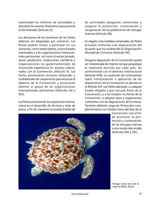 Una Introducción 13
las actividades pesqueras comerciales y
asegurar la protección, conservación y
recuperación de las poblaciones de tortugas
marinas (Artículo XII).
En respeto a las medidas comerciales, las Partes
actuarán conforme a las disposiciones del
Acuerdo que ha establecido la Organización
Mundial de Comercio (Artículo XV).
Ninguna disposición de la Convención podrá
ser interpretada de manera tal que perjudique
la soberanía ejercida por cada país, de
conformidad con el derecho internacional
(Artículo XVII). La resolución de controversias
sobre interpretación o aplicación de las
disposiciones de la Convención se aborda en
el Artículo XVI. Las Partes alentarán a cualquier
Estado elegible a que sea país Parte de la
Convención, y a los Estados no Partes de la
Convención, a adoptar leyes y reglamentos
coherentes con las disposiciones de la misma.
También deberán negociar Protocolos com-
plementarios con Estados fuera del área de la
Convención con el fin
de promover la pro-
tección y conservación
de las tortugas marinas
a una escala más amplia
(Artículos XIX y XX).
Tortuga carey cerca de la
costa en Bahia, Brasil.
examinarán los informes de actividades y
discutirán los asuntos financieros que presente
el Secretariado (Artículo V).
Las decisiones de las reuniones de las Partes
deberán ser adoptadas por consenso. Las
Partes podrán invitar a participar en sus
reuniones, como observadores, a otros Estados
interesados y a las organizaciones internacio-
nales pertinentes, así como al sector privado,
sector productivo, instituciones científicas y
organizaciones no gubernamentales de
reconocida experiencia en asuntos relacio-
nados con la Convención (Artículo V). Las
Partes promoverán acciones bilaterales y
multilaterales de cooperación para alcanzar el
objetivo de la Convención y procurarán
obtener el apoyo de las organizaciones
internacionales pertinentes (Artículos XII y
XIV).
Las Partes promoverán la cooperación interna-
cional en el desarrollo de técnicas y artes de
pesca, a fin de mantener la productividad de
 