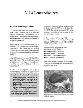 14 Convención Interamericana para la Protección y Conservación de las Tortugas Marinas (CIT)
V. La Convención hoy
Resumen de las negociaciones
La Convención Interamericana para la
Protección y Conservación de las Tortugas
Marinas fue propuesta inicialmente por la
Organización Latinoamericana de Desarrollo
Pesquero (OLDEPESCA) y varios gobiernos del
hemisferio occidental.
El hecho que motivó su formación fue el
embargo a la importación de camarones
provenientes de países que no usaban
métodos de protección de tortugas marinas,
similares a las técnicas utilizadas en los Estados
Unidos27.
Entre el 19 de septiembre de 1994 y el 5 de
septiembre de 1996 se realizaron cuatro
rondas de negociaciones interguberna-
mentales para definir el texto final de la
Convención28.
Un total de 24 países participaron en por lo
menos una de las reuniones de negociación29.
La Convención estuvo abierta para firmas del
1º de diciembre de 1996 al 31 de diciembre
de 1998. Durante este período, 12 países
enviaron sus instrumentos firmados al país
depositario, Venezuela.
La Convención entró en vigor el 2 de mayo
del 2001, noventa días después de que la
octava ratificación había sido recibida
oficialmente por Venezuela.
Países firmantes a septiembre 2004:
• Antillas Holandesas • Belice
• Brasil • Costa Rica • Ecuador
• Estados Unidos • Guatemala
•Honduras • México • Nicaragua
• Perú • Uruguay • Venezuela
Estos países, con la excepción de Nicaragua y
Uruguay, han ratificado la Convención en su
legislación nacional.
Procedimiento de adhesión a la Convención:
1. Enviar notificación firmada por la
cancillería del país interesado a la
Cancillería del Gobierno de la República
de Venezuela, quien es el depositario de
la Convención.
2. Ratificar la Convención en la legislación
nacional y enviar copia de tal instrumento
al órgano depositario de la Convención.
La Convención entra en vigor para el Estado
en la fecha en que se entrega al depositario
el instrumento de adhesión. Tortuga lora juvenil capturada en la costa este de los Estados
Unidos de América.
 