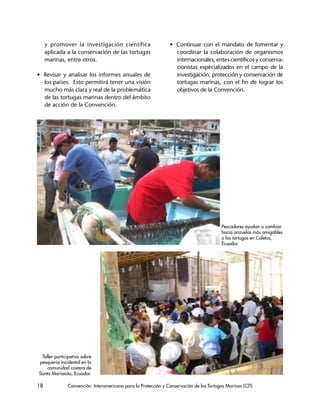 18 Convención Interamericana para la Protección y Conservación de las Tortugas Marinas (CIT)
y promover la investigación científica
aplicada a la conservación de las tortugas
marinas, entre otros.
• Revisar y analisar los informes anuales de
los países. Esto permitirá tener una visión
mucho más clara y real de la problemática
de las tortugas marinas dentro del ámbito
de acción de la Convención.
• Continuar con el mandato de fomentar y
coordinar la colaboración de organismos
internacionales, entes científicos y conserva-
cionistas especializados en el campo de la
investigación, protección y conservación de
tortugas marinas, con el fin de lograr los
objetivos de la Convención.
Taller participativo sobre
pesquería incidental en la
comunidad costera de
Santa Marianita, Ecuador.
Pescadores ayudan a cambiar
hacia anzuelos más amigables
a las tortugas en Caletas,
Ecuador.
 