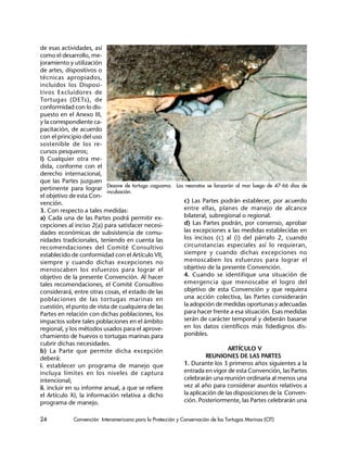 24 Convención Interamericana para la Protección y Conservación de las Tortugas Marinas (CIT)
de esas actividades, así
como el desarrollo, me-
joramiento y utilización
de artes, dispositivos o
técnicas apropiados,
incluidos los Disposi-
tivos Excluidores de
Tortugas (DETs), de
conformidad con lo dis-
puesto en el Anexo III,
y la correspondiente ca-
pacitación, de acuerdo
con el principio del uso
sostenible de los re-
cursos pesqueros;
i) Cualquier otra me-
dida, conforme con el
derecho internacional,
que las Partes juzguen
pertinente para lograr
el objetivo de esta Con-
vención.
3. Con respecto a tales medidas:
a) Cada una de las Partes podrá permitir ex-
cepciones al inciso 2(a) para satisfacer necesi-
dades económicas de subsistencia de comu-
nidades tradicionales, teniendo en cuenta las
recomendaciones del Comité Consultivo
establecido de conformidad con el Artículo VII,
siempre y cuando dichas excepciones no
menoscaben los esfuerzos para lograr el
objetivo de la presente Convención. Al hacer
tales recomendaciones, el Comité Consultivo
considerará, entre otras cosas, el estado de las
poblaciones de las tortugas marinas en
cuestión, el punto de vista de cualquiera de las
Partes en relación con dichas poblaciones, los
impactos sobre tales poblaciones en el ámbito
regional, y los métodos usados para el aprove-
chamiento de huevos o tortugas marinas para
cubrir dichas necesidades.
b) La Parte que permite dicha excepción
deberá:
i. establecer un programa de manejo que
incluya límites en los niveles de captura
intencional;
ii. incluir en su informe anual, a que se refiere
el Artículo XI, la información relativa a dicho
programa de manejo.
Desove de tortuga caguama. Los neonatos se lanzarán al mar luego de 47-66 días de
incubación.
c) Las Partes podrán establecer, por acuerdo
entre ellas, planes de manejo de alcance
bilateral, subregional o regional.
d) Las Partes podrán, por consenso, aprobar
las excepciones a las medidas establecidas en
los incisos (c) al (i) del párrafo 2, cuando
circunstancias especiales así lo requieran,
siempre y cuando dichas excepciones no
menoscaben los esfuerzos para lograr el
objetivo de la presente Convención.
4. Cuando se identifique una situación de
emergencia que menoscabe el logro del
objetivo de esta Convención y que requiera
una acción colectiva, las Partes considerarán
la adopción de medidas oportunas y adecuadas
para hacer frente a esa situación. Esas medidas
serán de carácter temporal y deberán basarse
en los datos científicos más fidedignos dis-
ponibles.
ARTÍCULO V
REUNIONES DE LAS PARTES
1. Durante los 3 primeros años siguientes a la
entrada en vigor de esta Convención, las Partes
celebrarán una reunión ordinaria al menos una
vez al año para considerar asuntos relativos a
la aplicación de las disposiciones de la Conven-
ción. Posteriormente, las Partes celebrarán una
 