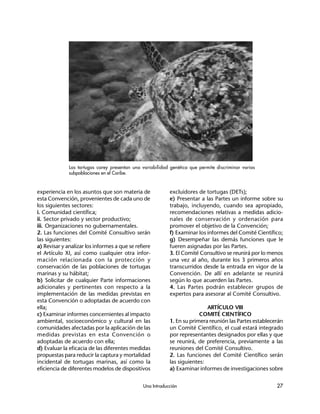 Una Introducción 27
experiencia en los asuntos que son materia de
esta Convención, provenientes de cada uno de
los siguientes sectores:
i. Comunidad científica;
ii. Sector privado y sector productivo;
iii. Organizaciones no gubernamentales.
2. Las funciones del Comité Consultivo serán
las siguientes:
a) Revisar y analizar los informes a que se refiere
el Artículo XI, así como cualquier otra infor-
mación relacionada con la protección y
conservación de las poblaciones de tortugas
marinas y su hábitat;
b) Solicitar de cualquier Parte informaciones
adicionales y pertinentes con respecto a la
implementación de las medidas previstas en
esta Convención o adoptadas de acuerdo con
ella;
c) Examinar informes concernientes al impacto
ambiental, socioeconómico y cultural en las
comunidades afectadas por la aplicación de las
medidas previstas en esta Convención o
adoptadas de acuerdo con ella;
d) Evaluar la eficacia de las diferentes medidas
propuestas para reducir la captura y mortalidad
incidental de tortugas marinas, así como la
eficiencia de diferentes modelos de dispositivos
excluidores de tortugas (DETs);
e) Presentar a las Partes un informe sobre su
trabajo, incluyendo, cuando sea apropiado,
recomendaciones relativas a medidas adicio-
nales de conservación y ordenación para
promover el objetivo de la Convención;
f) Examinar los informes del Comité Científico;
g) Desempeñar las demás funciones que le
fueren asignadas por las Partes.
3. El Comité Consultivo se reunirá por lo menos
una vez al año, durante los 3 primeros años
transcurridos desde la entrada en vigor de la
Convención. De allí en adelante se reunirá
según lo que acuerden las Partes.
4. Las Partes podrán establecer grupos de
expertos para asesorar al Comité Consultivo.
ARTÍCULO VIII
COMITÉ CIENTÍFICO
1. En su primera reunión las Partes establecerán
un Comité Científico, el cual estará integrado
por representantes designados por ellas y que
se reunirá, de preferencia, previamente a las
reuniones del Comité Consultivo.
2. Las funciones del Comité Científico serán
las siguientes:
a) Examinar informes de investigaciones sobre
Las tortugas carey presentan una variabilidad genética que permite discriminar varias
subpoblaciones en el Caribe.
 