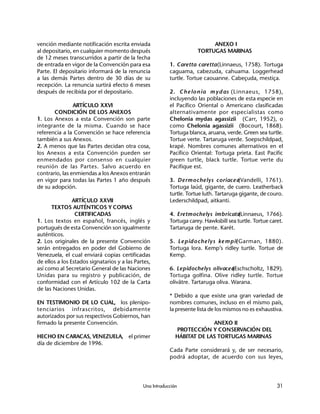 Una Introducción 31
vención mediante notificación escrita enviada
al depositario, en cualquier momento después
de 12 meses transcurridos a partir de la fecha
de entrada en vigor de la Convención para esa
Parte. El depositario informará de la renuncia
a las demás Partes dentro de 30 días de su
recepción. La renuncia surtirá efecto 6 meses
después de recibida por el depositario.
ARTÍCULO XXVI
CONDICIÓN DE LOS ANEXOS
1. Los Anexos a esta Convención son parte
integrante de la misma. Cuando se hace
referencia a la Convención se hace referencia
también a sus Anexos.
2. A menos que las Partes decidan otra cosa,
los Anexos a esta Convención pueden ser
enmendados por consenso en cualquier
reunión de las Partes. Salvo acuerdo en
contrario, las enmiendas a los Anexos entrarán
en vigor para todas las Partes 1 año después
de su adopción.
ARTÍCULO XXVII
TEXTOS AUTÉNTICOS Y COPIAS
CERTIFICADAS
1. Los textos en español, francés, inglés y
portugués de esta Convención son igualmente
auténticos.
2. Los originales de la presente Convención
serán entregados en poder del Gobierno de
Venezuela, el cual enviará copias certificadas
de ellos a los Estados signatarios y a las Partes,
así como al Secretario General de las Naciones
Unidas para su registro y publicación, de
conformidad con el Artículo 102 de la Carta
de las Naciones Unidas.
EN TESTIMONIO DE LO CUAL, los plenipo-
tenciarios infrascritos, debidamente
autorizados por sus respectivos Gobiernos, han
firmado la presente Convención.
HECHO EN CARACAS, VENEZUELA, el primer
día de diciembre de 1996.
ANEXO I
TORTUGAS MARINAS
1. Caretta caretta(Linnaeus, 1758). Tortuga
caguama, cabezuda, cahuama. Loggerhead
turtle. Tortue caouanne. Cabeçuda, mestiça.
2. Chelonia mydas (Linnaeus, 1758),
incluyendo las poblaciones de esta especie en
el Pacífico Oriental o Americano clasificadas
alternativamente por especialistas como
Chelonia mydas agassizii (Carr, 1952), o
como Chelonia agassizii (Bocourt, 1868).
Tortuga blanca, aruana, verde. Green sea turtle.
Tortue verte. Tartaruga verde. Soepschildpad,
krapé. Nombres comunes alternativos en el
Pacífico Oriental: Tortuga prieta. East Pacific
green turtle, black turtle. Tortue verte du
Pacifique est.
3. Dermochelys coriacea(Vandelli, 1761).
Tortuga laúd, gigante, de cuero. Leatherback
turtle. Tortue luth. Tartaruga gigante, de couro.
Lederschildpad, aitkanti.
4. Eretmochelys imbricata(Linnaeus, 1766).
Tortuga carey. Hawksbill sea turtle. Tortue caret.
Tartaruga de pente. Karét.
5. Lepidochelys kempii(Garman, 1880).
Tortuga lora. Kemp’s ridley turtle. Tortue de
Kemp.
6. Lepidochelys olivacea(Eschscholtz, 1829).
Tortuga golfina. Olive ridley turtle. Tortue
olivâtre. Tartaruga oliva. Warana.
* Debido a que existe una gran variedad de
nombres comunes, incluso en el mismo país,
la presente lista de los mismos no es exhaustiva.
ANEXO II
PROTECCIÓN Y CONSERVACIÓN DEL
HÁBITAT DE LAS TORTUGAS MARINAS
Cada Parte considerará y, de ser necesario,
podrá adoptar, de acuerdo con sus leyes,
 