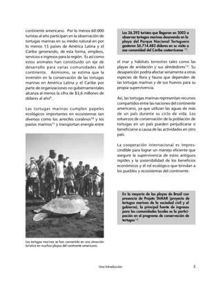 Una Introducción 5
En la mayoría de las playas de Brasil con
presencia de Projeto TAMAR (proyecto de
tortugas marinas de la sociedad civil y el
gobierno), la principal fuente de ingresos
para las comunidades locales es la partici-
pación en el programa de conservación de
tortugas14.
Los 26.292 turistas que llegaron en 2002 a
observar tortugas marinas desovando en la
playa del Parque Nacional Tortuguero
gastaron $6.714.483 dólares en su visita a
esa comunidad del Caribe costarricense 12.
Las tortugas marinas se han convertido en una atracción
turística en muchas playas del continente americano.
continente americano. Por lo menos 60.000
turistas al año participan en la observación de
tortugas marinas en su medio natural en por
lo menos 15 países de América Latina y el
Caribe generando, de esta forma, empleos,
servicios e ingresos para la región. Es así como
estos animales han constituido un eje de
desarrollo para varias comunidades del
continente. Asimismo, se estima que la
inversión en la conservación de las tortugas
marinas en América Latina y el Caribe por
parte de organizaciones no gubernamentales
alcanza al menos la cifra de $3,6 millones de
dólares al año9.
Las tortugas marinas cumplen papeles
ecológicos importantes en ecosistemas tan
diversos como los arrecifes coralinos10 y los
pastos marinos11 y transportan energía entre
el mar y hábitats terrestres tales como las
playas de anidación y sus alrededores13. Su
desaparición podría afectar seriamente a otras
especies de flora y fauna que dependen de
las tortugas marinas y de sus huevos para su
propia supervivencia.
Así, las tortugas marinas representan recursos
compartidos entre las naciones del continente
americano, ya que utilizan las aguas de más
de un país durante su ciclo de vida. Los
esfuerzos de conservación de la población de
tortugas en un país pueden perjudicarse o
beneficiarse a causa de las actividades en otro
país.
La cooperación internacional es impres-
cindible para lograr un manejo eficiente que
asegure la supervivencia de estos antiguos
reptiles y la sostenibilidad de los beneficios
económicos y el rol ecológico que brindan a
los pueblos y ecosistemas del continente.
 