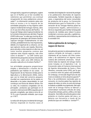 8 Convención Interamericana para la Protección y Conservación de las Tortugas Marinas (CIT)
tortugas laúd y caguama en palangres, sugiere
que en el Pacífico ya se han excedido los
volúmenes que permitirían una eventual
recuperación de estas poblaciones amena-
zadas16. La información existente sobre este
tema es escasa y en la mayoría de las
actividades pesqueras no hay registros sobre
captura incidental de tortugas marinas, salvo
en el caso de la flota atunera del Pacífico. El
Grupo de Trabajo sobre Captura Incidental de
la Comisión Interamericana del Atún Tropical
(CIAT) indica que “se sabe que muchas de las
pesquerías de palangres del Océano Pacífico
capturan tortugas incidentalmente. En este
sentido, probablemente las más importantes,
debido a la magnitud de su esfuerzo, son las
que capturan atunes, pez espada, tiburones,
peces picudos y otras especies en alta mar, así
como muchas pesquerías costeras que
capturan estas mismas especies, más otras
como el dorado”17. La CIAT estima que
solamente las pesquerías atuneras industriales
en alta mar, calan unos 200 millones de
anzuelos cada año en el océano Pacífico17.
Las actividades pesqueras proporcionan
empleo y alimentación a muchos de los
pobladores que habitan en las costas. La
Organización de las Naciones Unidas para la
Agricultura y la Alimentación (FAO), estima
que casi la mitad del comercio pesquero
mundial son exportaciones de los países en
desarrollo a los países desarrollados, lo cual
constituye una forma de obtener divisas. Por
su valor, los crustáceos congelados son los
principales productos que participan en el
comercio internacional (38%) seguidos por el
pescado congelado, que abarca cerca de un
35 % y por el pescado enlatado, que ocupa
un 11%18.
La reducción de la pesca incidental de tortugas
marinas responde en muchos casos al
mandato de la legislación nacional de proteger
a las poblaciones diezmadas de especies
amenazadas. También responde, en algunos
casos, a expectativas del sector consumidor
de productos de la pesca. La Convención
Interamericana para la Protección y Con-
servación de las Tortugas Marinas posee los
componentes legales, administrativos y
técnicos requeridos para facilitar la búsqueda
conjunta de medidas para reducir la pesca
incidental y convocar, para ello, a gobiernos,
científicos, representantes de la industria y de
la sociedad civil.
Sobreexplotación de tortugas y
saqueo de huevos
Actualmente persiste la sobreexplotación por
captura dirigida de tortugas y aprove-
chamiento de sus huevos con fines comer-
ciales y de subsistencia en algunas zonas
costeras del continente americano. Actual-
mente todas las especies de tortuga marina
están listadas en el Apéndice I de la
Convención sobre el Comercio Internacional
de Especies Amenazadas de Fauna y Flora
Silvestres, conocida como CITES, por lo que
su comercio entre los países está prohibido.
Sin embargo, el mercado ilegal fuera de este
marco es todavía un tema de preocupación19.
Pese a las prohibiciones nacionales para su
consumo, en muchos países hay reportes de
saqueo de nidos; en otros, la carne de tortuga
es todavía un platillo muy apetecido. Del capa-
razón de la tortuga marina se fabrican y
comercializan numerosos artículos de carey,
incluyendo anteojos, peines, anillos y otro tipo
de joyería. Este tráfico de artículos parece estar
presente en muchos países del área y se
detecta con frecuencia a través de los
productos que son vendidos a turistas20,21.
 