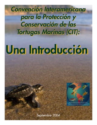 Una IntroducciónUna Introducción
Convención Interamericana
para la Protección y
Conservación de las
Tortugas Marinas (CIT):
Convención Interamericana
para la Protección y
Conservación de las
Tortugas Marinas (CIT):
Septiembre 2004
 