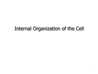 Internal Organization of the Cell
1
 