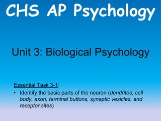 CHS AP Psychology
Unit 3: Biological Psychology
Essential Task 3-1:
• Identify the basic parts of the neuron (dendrites, cell
body, axon, terminal buttons, synaptic vesicles, and
receptor sites)
 