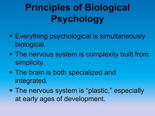 Principles of Biological
Psychology
 Everything psychological is simultaneously
biological.
 The nervous system is complexity built from
simplicity.
 The brain is both specialized and
integrated.
 The nervous system is “plastic,” especially
at early ages of development.
 