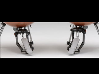 Percusión occidental