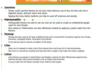 3 1-plant structural anatomy and physiology | PDF