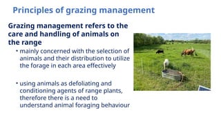 3-1-Principles of veld management and grazing techniques .pptx